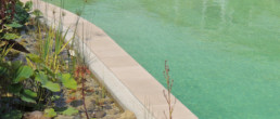 View of freshwater pool and in pool garden